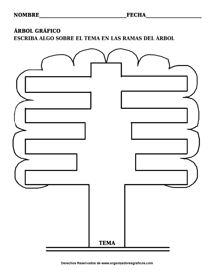 Mapa conceptual arbol grafico