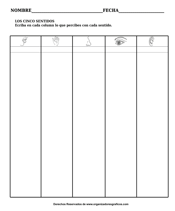 Organizando una historia por medio de los 5 sentidos.