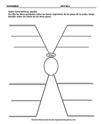 Mapa conceptual de Araña mini