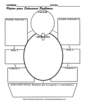 PDF de Pajaro para solucion de problemas