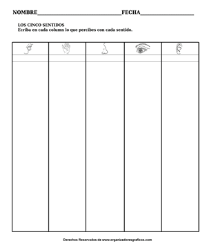 Organizador Grafico de los 5 Sentidos